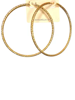 Hoopa Chic Earrings