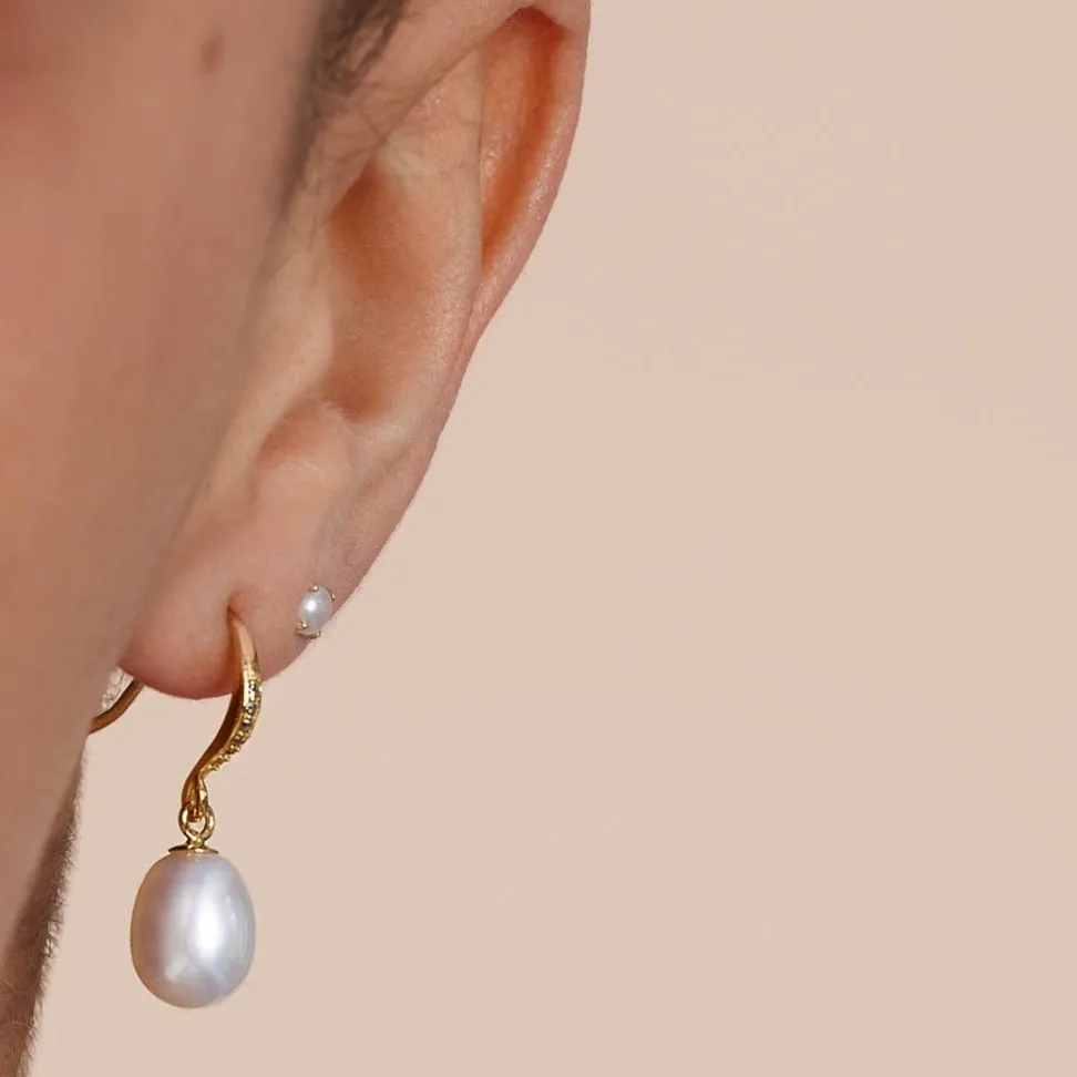 Stella cultured white freshwater teardrop pearl hanging earrings on sparkle gold hooks